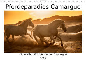 Pferdeparadies Camargue (Wandkalender 2023 DIN A4 quer) von Kassat,  Nicola