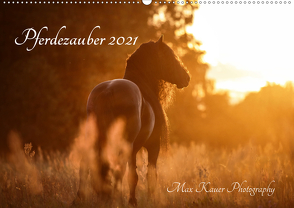 Pferdezauber 2021 (Wandkalender 2021 DIN A2 quer) von Kauer Photography,  Max