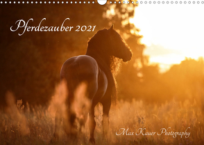 Pferdezauber 2021 (Wandkalender 2021 DIN A3 quer) von Kauer Photography,  Max