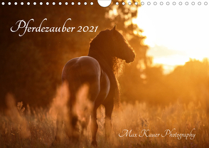 Pferdezauber 2021 (Wandkalender 2021 DIN A4 quer) von Kauer Photography,  Max