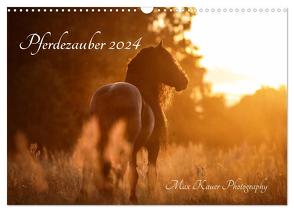 Pferdezauber 2024 (Wandkalender 2024 DIN A3 quer), CALVENDO Monatskalender von Kauer Photography,  Max