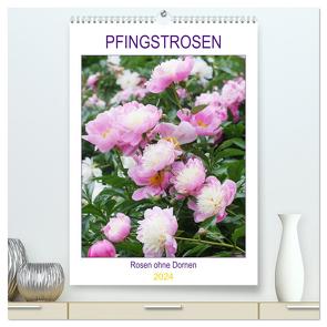 Pfingstrosen Rosen ohne Dornen (hochwertiger Premium Wandkalender 2024 DIN A2 hoch), Kunstdruck in Hochglanz von Kruse,  Gisela