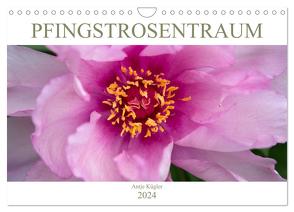 Pfingstrosentraum (Wandkalender 2024 DIN A4 quer), CALVENDO Monatskalender von Kügler,  Antje