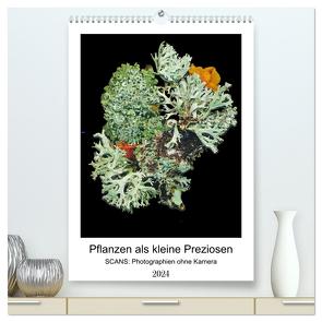 Pflanzen als kleine Preziosen (hochwertiger Premium Wandkalender 2024 DIN A2 hoch), Kunstdruck in Hochglanz von Wahby,  Tamara