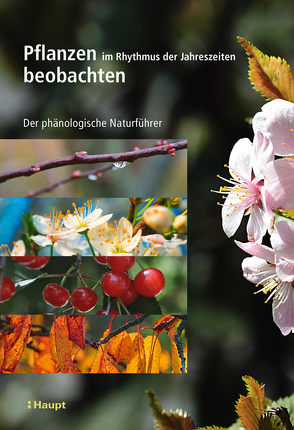 Pflanzen im Rhythmus der Jahreszeiten beobachten von Badeau,  Vincent, Bonhomme,  Marc, Bonne,  Fabrice, Carré,  Jennifer, Cecchini,  Sébastien, Chuine,  Isabelle, Ducatillion,  Catherine, Jean,  Frédéric, Kropp,  Ruthild, Lebourgeois,  François