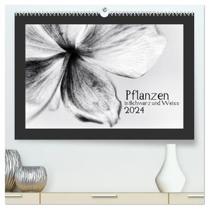 Pflanzen in Schwarz und Weiss / CH-Version (hochwertiger Premium Wandkalender 2024 DIN A2 quer), Kunstdruck in Hochglanz von Karius,  Kirsten