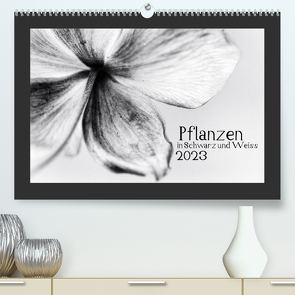 Pflanzen in Schwarz und Weiss / CH-Version (Premium, hochwertiger DIN A2 Wandkalender 2023, Kunstdruck in Hochglanz) von Karius,  Kirsten