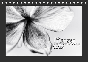 Pflanzen in Schwarz und Weiss / CH-Version (Tischkalender 2023 DIN A5 quer) von Karius,  Kirsten