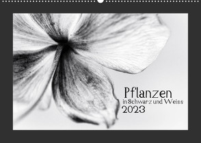 Pflanzen in Schwarz und Weiss / CH-Version (Wandkalender 2023 DIN A2 quer) von Karius,  Kirsten