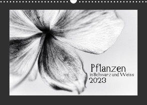 Pflanzen in Schwarz und Weiss / CH-Version (Wandkalender 2023 DIN A3 quer) von Karius,  Kirsten