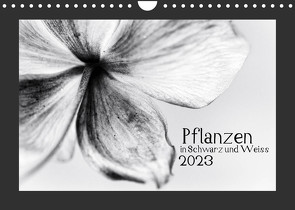 Pflanzen in Schwarz und Weiss / CH-Version (Wandkalender 2023 DIN A4 quer) von Karius,  Kirsten