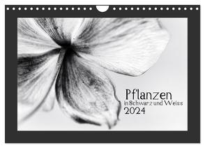 Pflanzen in Schwarz und Weiss / CH-Version (Wandkalender 2024 DIN A4 quer), CALVENDO Monatskalender von Karius,  Kirsten