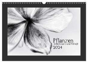 Pflanzen in Schwarz und Weiß (Wandkalender 2024 DIN A3 quer), CALVENDO Monatskalender von Karius,  Kirsten