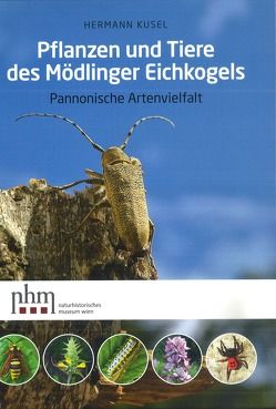 Pflanzen und Tiere des Mödlinger Eichkogels von Fischer,  Manfred A, Kusel,  Hermann