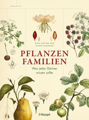 Pflanzenfamilien von Bayton,  Ross, Krabbe,  Wiebke, Maughan,  Simon