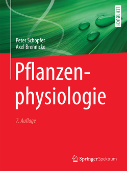 Pflanzenphysiologie von Brennicke,  Axel, Schopfer,  Peter