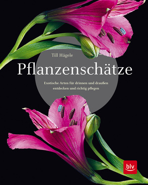 Pflanzenschätze von Hägele,  Till