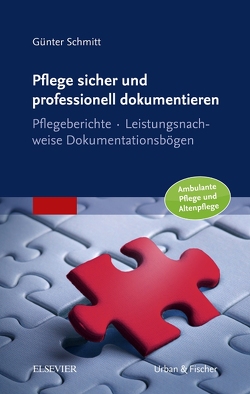 Pflege sicher und professionell dokumentieren von Schmitt,  Günter