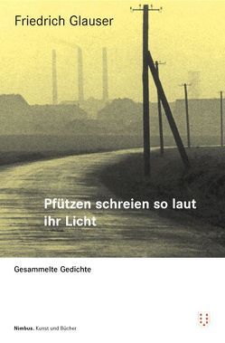 Pfützen schreien so laut ihr Licht von Glauser,  Friedrich