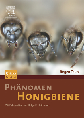 Phänomen Honigbiene von Heilmann,  Helga R., Tautz,  Jürgen