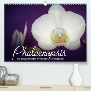 Phalaenopsis – die zauberhafte Welt der Orchideen (Premium, hochwertiger DIN A2 Wandkalender 2021, Kunstdruck in Hochglanz) von Strehl,  Deborah