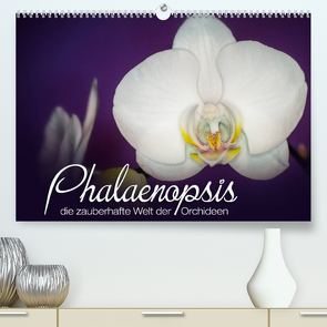 Phalaenopsis – die zauberhafte Welt der Orchideen (Premium, hochwertiger DIN A2 Wandkalender 2022, Kunstdruck in Hochglanz) von Strehl,  Deborah