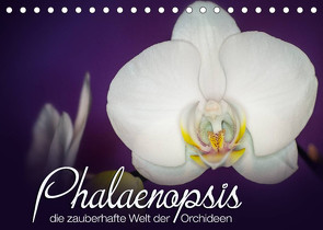 Phalaenopsis – die zauberhafte Welt der Orchideen (Tischkalender 2022 DIN A5 quer) von Strehl,  Deborah