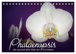 Phalaenopsis – die zauberhafte Welt der Orchideen (Tischkalender 2024 DIN A5 quer), CALVENDO Monatskalender von Strehl,  Deborah