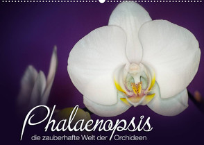 Phalaenopsis – die zauberhafte Welt der Orchideen (Wandkalender 2022 DIN A2 quer) von Strehl,  Deborah