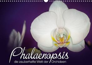 Phalaenopsis – die zauberhafte Welt der Orchideen (Wandkalender 2022 DIN A3 quer) von Strehl,  Deborah