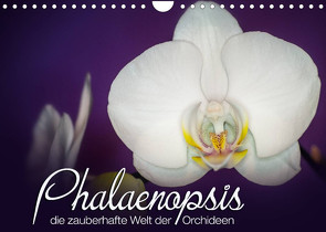 Phalaenopsis – die zauberhafte Welt der Orchideen (Wandkalender 2022 DIN A4 quer) von Strehl,  Deborah