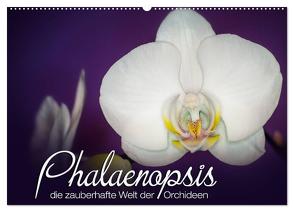 Phalaenopsis – die zauberhafte Welt der Orchideen (Wandkalender 2024 DIN A2 quer), CALVENDO Monatskalender von Strehl,  Deborah