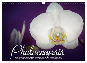 Phalaenopsis – die zauberhafte Welt der Orchideen (Wandkalender 2024 DIN A3 quer), CALVENDO Monatskalender von Strehl,  Deborah