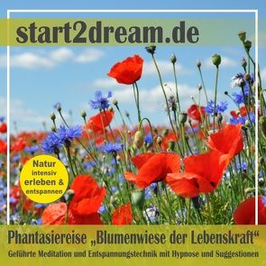 Phantasiereise: Blumenwiese der Lebenskraft von Klippstein,  Nils