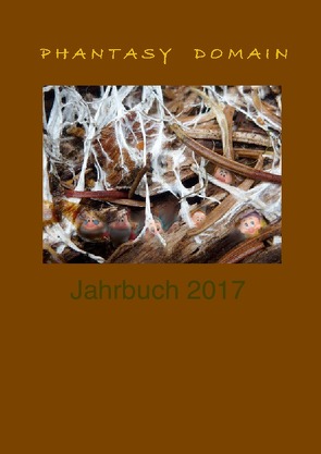 Phantasy Domain Jahrbuch / Phantasy-Domain Jahrbuch 2017 von Sorokin,  Antip