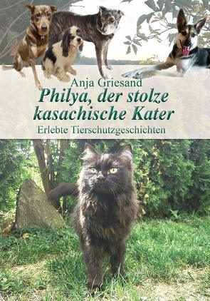 Philya, der stolze kasachische Kater von Griesand,  Anja