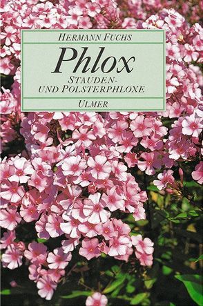 Phlox von Fuchs,  Hermann