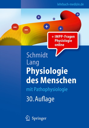 Physiologie des Menschen von Heckmann,  Manfred, Lang,  Florian, Schmidt,  Robert F.