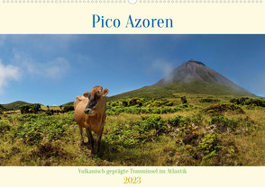 Pico Azoren – Vulkanisch geprägte Trauminsel im Atlantik (Wandkalender 2023 DIN A2 quer) von Rucker,  Michael