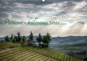 Piemont – bellissimo 2021 (Wandkalender 2021 DIN A2 quer) von Haas,  Sascha