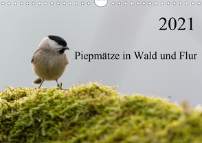 Piepmätze in Wald und Flur (Wandkalender 2021 DIN A4 quer) von Alberer,  Thomas