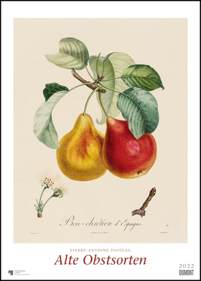 Pierre Antoine Poiteau: Alte Obstsorten 2022 – DUMONT Kunst-Kalender – Poster-Format 50 x 70 cm von Poiteau,  Pierre Antoine