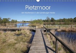 Pietzmoor – ein Hochmoor in der Lüneburger Heide (Wandkalender 2018 DIN A3 quer) von Nack,  Heike