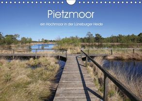 Pietzmoor – ein Hochmoor in der Lüneburger Heide (Wandkalender 2019 DIN A4 quer) von Nack,  Heike