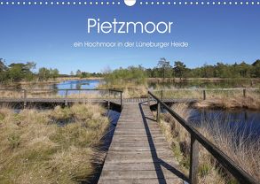 Pietzmoor – ein Hochmoor in der Lüneburger Heide (Wandkalender 2020 DIN A3 quer) von Nack,  Heike