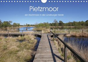 Pietzmoor – ein Hochmoor in der Lüneburger Heide (Wandkalender 2020 DIN A4 quer) von Nack,  Heike