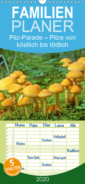 Pilz-Parade – Pilze von köstlich bis tödlich – Familienplaner hoch (Wandkalender 2020 , 21 cm x 45 cm, hoch) von CALVENDO