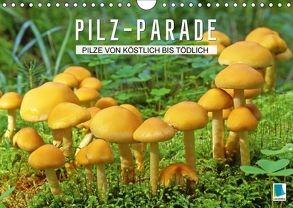 Pilz-Parade – Pilze von köstlich bis tödlich (Wandkalender 2018 DIN A4 quer) von CALVENDO