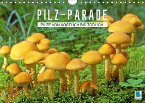 Pilz-Parade – Pilze von köstlich bis tödlich (Wandkalender 2019 DIN A4 quer) von CALVENDO