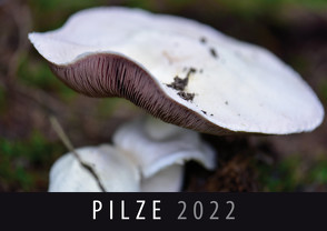 Pilze 2022 von Quelle & Meyer Verlag